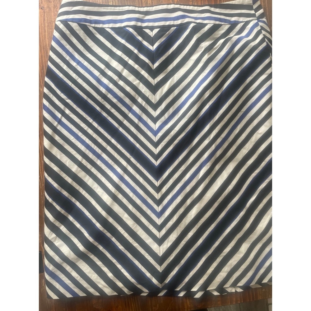 Ann Taylor  Skirt size‎ 6